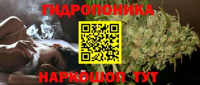 стаф Северобайкальск