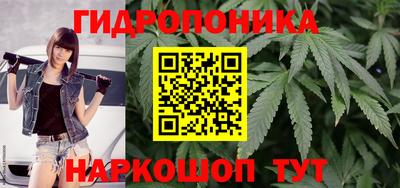 стаф Северобайкальск