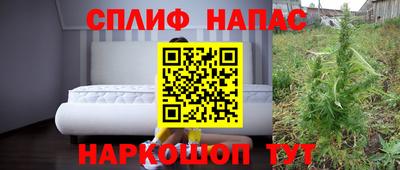 бошки Сланцы