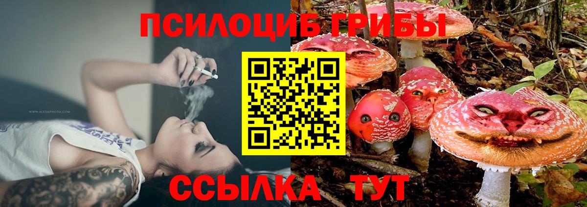 Анжеро-Судженск  Псилоцибиновые грибы мицелий  Вход с VPN  Галлюциногенные грибы ЛСД 
